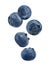 Many fresh ripe blueberries falling