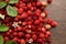 Many fresh wild strawberries, flowers and leaves on wooden table, flat lay. Space for text