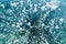 Many frozen air bubbles inside ice of lake Baikal