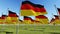 Many German flags blowing in the wind in green field.