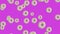 Many glazed donuts falling down on purple background, 3d animation video.