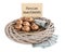 Many golden eggs in nest, money and card with phrase Pension Investments on white background