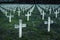 Many gravestone crosses in cemetery at twilight