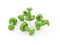 Many green push pins rendered isolated