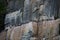 Many guillemots nest on the Alkefjellet rock. Spitsbergen, Norway, Polar area.