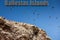 Many gulls in the sky above the rock. Inscription Ballestas Island, Paracas National park,Peru