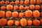 Many Halloween `Ghostride` pumpkins on shelves