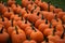 Many halloween pumpkins together on green
