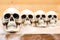 Many Halloween skulls on table