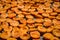 Many halved apricots on metal drying rack