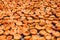 Many halved apricots on metal drying rack