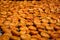 Many halved apricots on metal drying rack