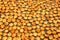 Many halved apricots on metal drying rack, flat lay