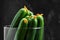 Many harvest cucumbers In vase on the grey concrete background. Top view