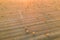 Many haystacks on a yellow field. Beautiful photography at sunset in summer