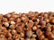 Many hazelnut with a white background