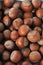 Many hazelnuts close up