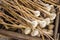 Many heads of garlic drying in a wooden box