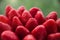 Many healthy red strawberries closeup on the blurred background