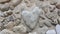 Many heart stones on the beach