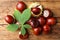 Many horse chestnuts and leaf on wooden table, flat lay