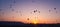 Many huge balloons are flying in the air at the sunrise. Cappadocia, Turkey.