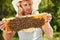 Many of insects. Beekeeper works with honeycomb full of bees outdoors at sunny day