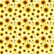 Many isolated baskets of sunflowers on a white background, form an endless seamless texture