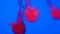 Many Jellyfish Illuminated In Red Gracefully Swim On Blue Background