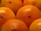 Many juicy orange ripe grapefruit fruit and water drops. Wallpaper or background. Tropical fruit,  Citrus Ã— paradisi.