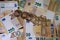 Many Krugerrand and Dollar gold coins are lying on various spread out Euro banknotes