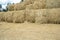 Many large bales of straw are stacked near the forest in autumn