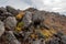 Many large rocky stones on a hillside.