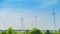 Many large windmills stood in the middle of a field with blue skies. Several wind turbines are lined up to generate electricity.