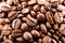 Many macro coffe beans closeup on coffee background.