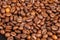 Many macro coffe beans closeup on coffee background.