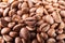 Many macro coffe beans closeup on coffee background.