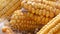 Many mature yellow corn heads in barn. Corn After Harvest of Maize. Agricultural Production close up view