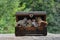 Many minerals quartz and crystal stones in wooden box