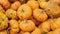 Many mini Orange pumpkins Mandarin. Exhibition and sales