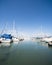 many moored sail yachts in the sea port, modern water transport