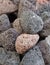 Many multicolored porous pumice stones