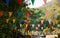 Many multicolored triangular flags adorn the blurred garden