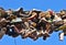 Many old shoes hanging on a string between two houses, a practice of students, who finished their studies in Flensburg / Germany