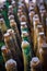 Many old wine bottles top view, vertical composition