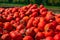 Many orange hokkaido on a trailer isolated against green background