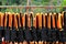 Many orange life jacket or life vest hanging on clothes line