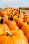 Many orange pumpkins