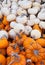 Many orange and white pumpkins