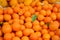 Many Oranges in a bin at a Farmers Market